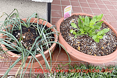 f:id:kukiha-na:20210309184322p:plain