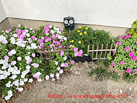 f:id:kukiha-na:20210930085849p:plain