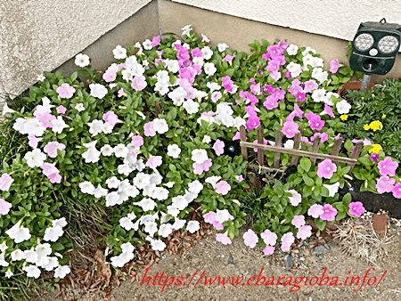 f:id:kukiha-na:20210930085947p:plain