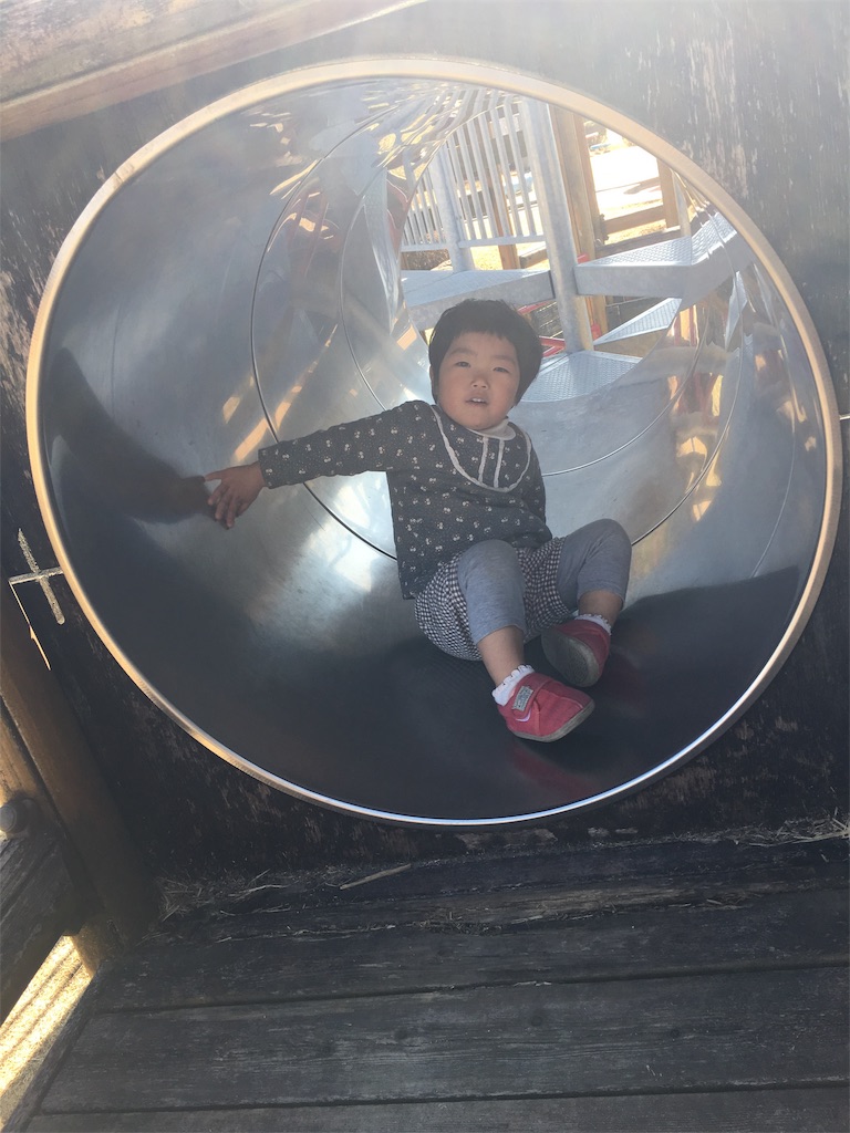 f:id:kukitanorikazu:20190207144021j:image f:id:kukitanorikazu:20190207144021j:image