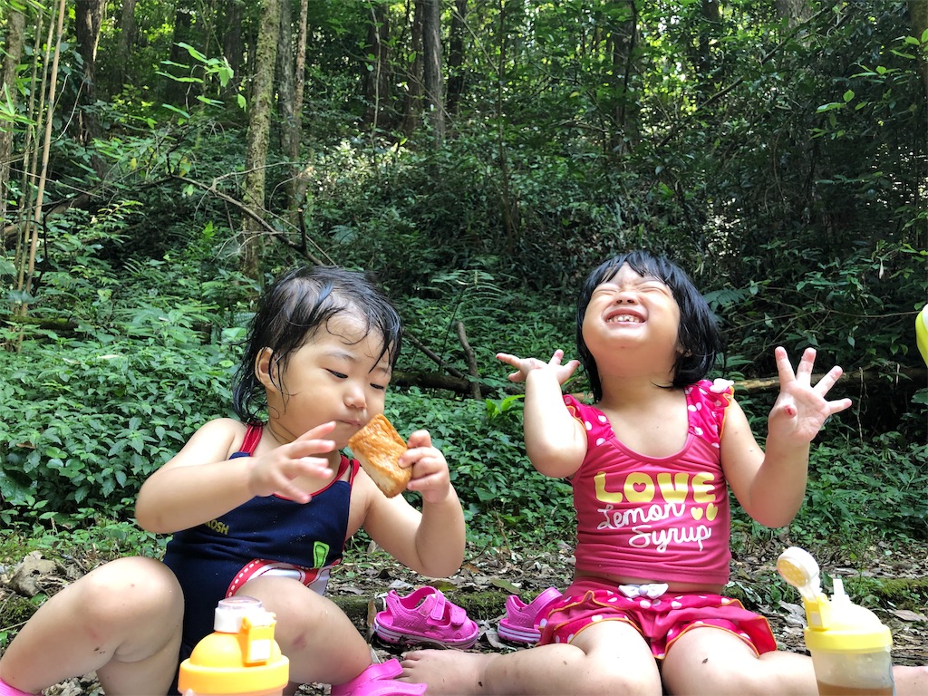 f:id:kukitanorikazu:20190822015452j:image