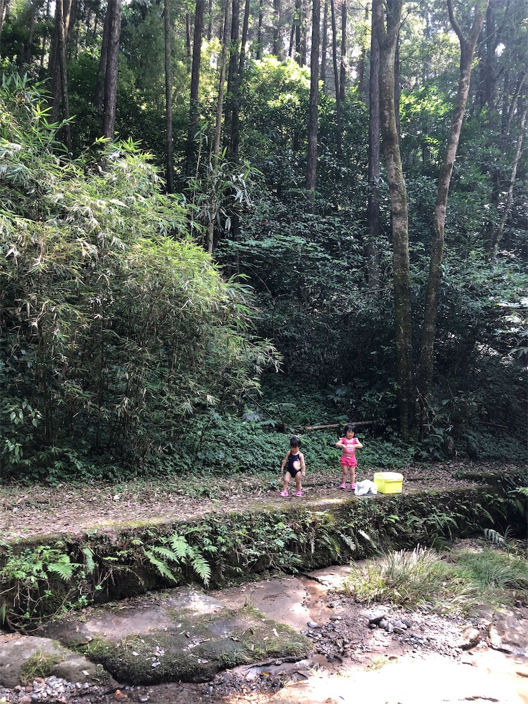 f:id:kukitanorikazu:20190822020031j:image