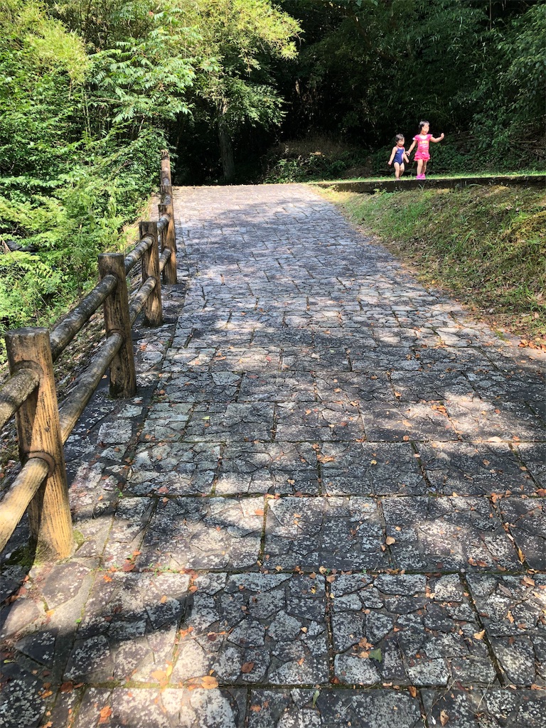 f:id:kukitanorikazu:20190822020613j:image