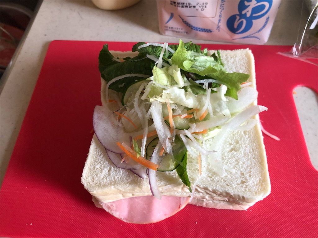 f:id:kukking10chan:20190216230508j:image