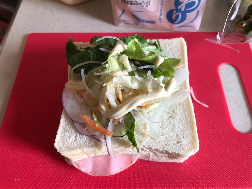 f:id:kukking10chan:20190216230541j:image