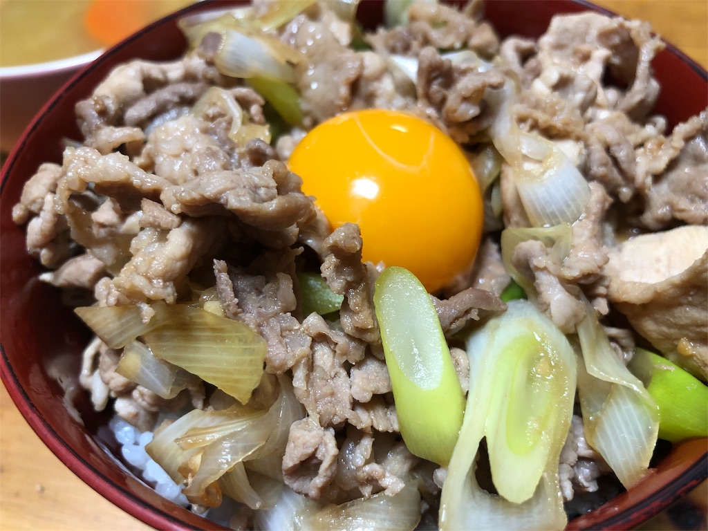 f:id:kukking10chan:20190216235508j:image