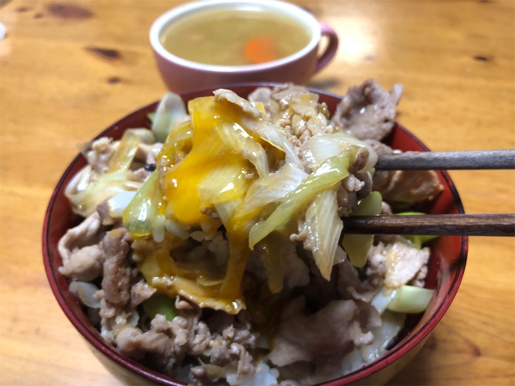 f:id:kukking10chan:20190216235943j:image