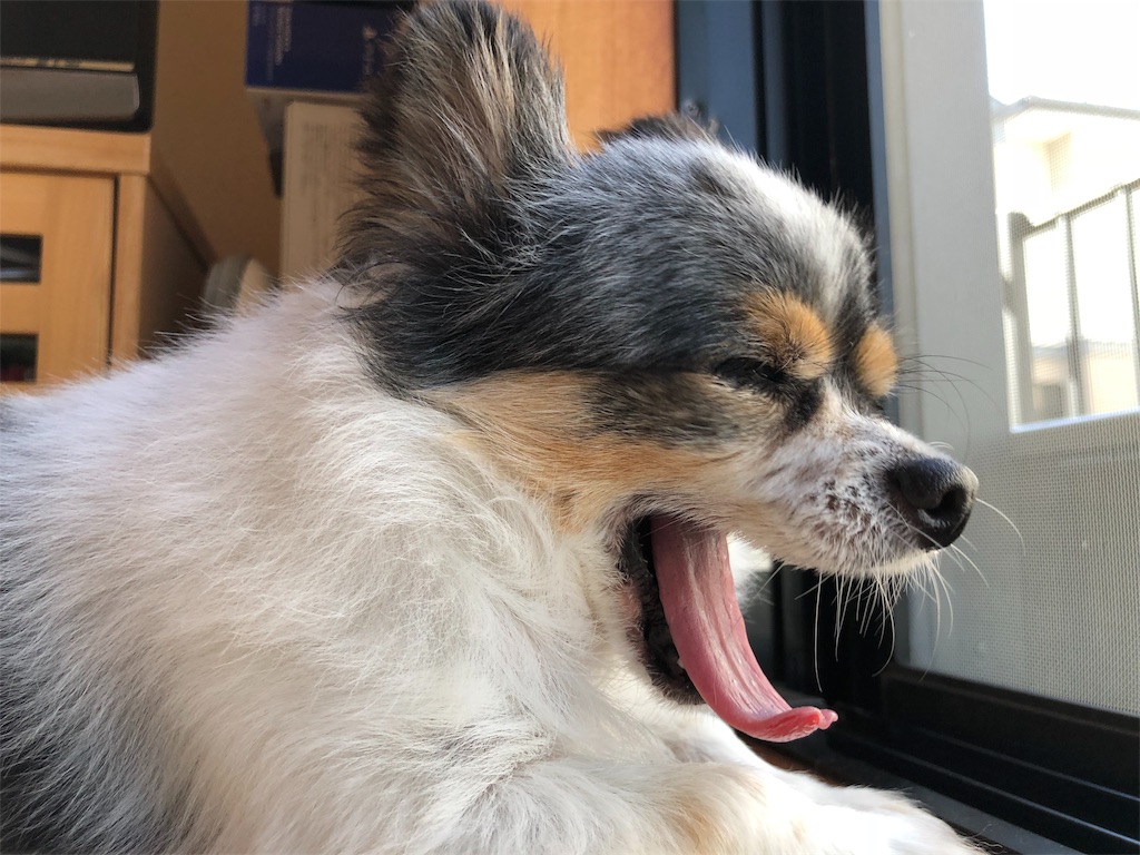 f:id:kukking10chan:20190414090407j:image f:id:kukking10chan:20190414090407j:image