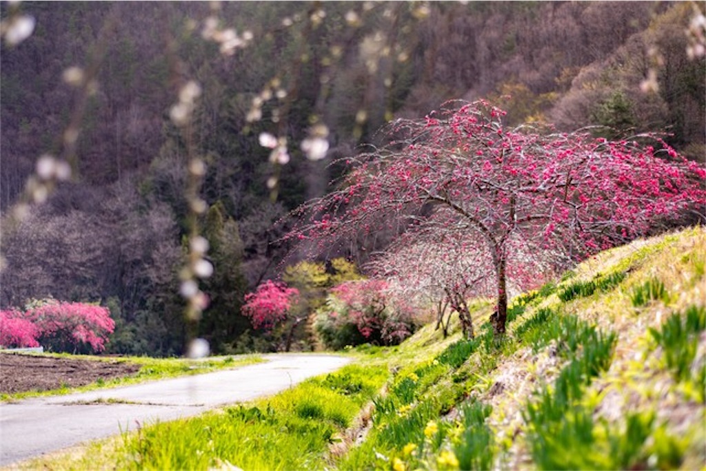 f:id:kukking10chan:20190601011538j:image f:id:kukking10chan:20190601011538j:image