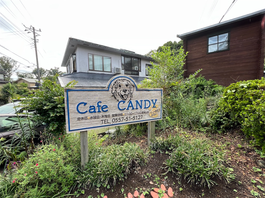 f:id:kukking10chan:20220919073949j:image