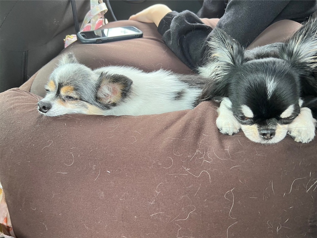 f:id:kukking10chan:20220919152155j:image