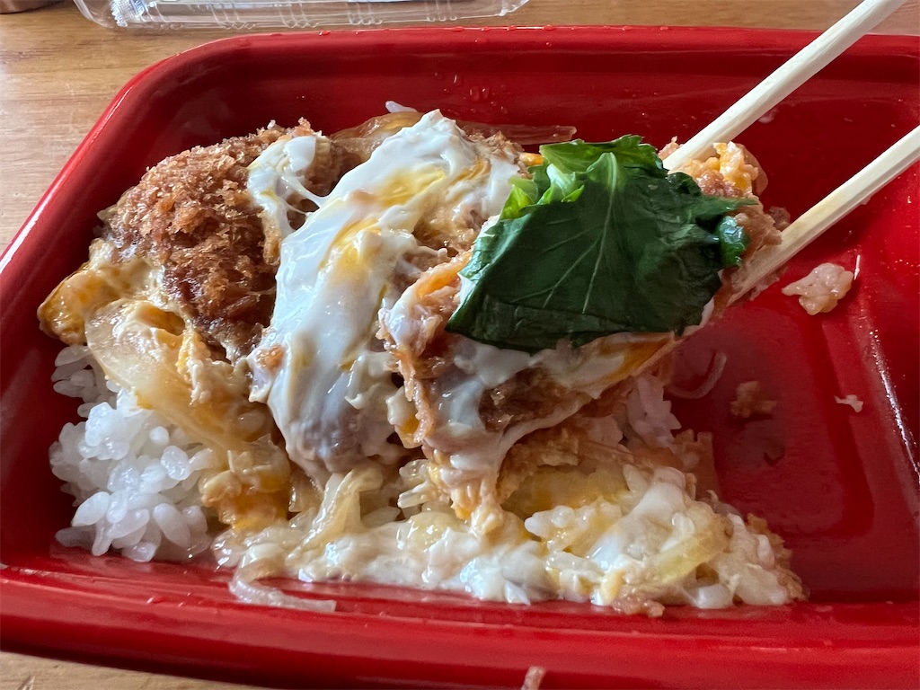 f:id:kukking10chan:20231210124825j:image