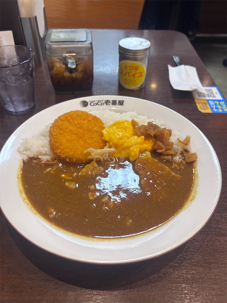 f:id:kukking10chan:20250120195319j:image