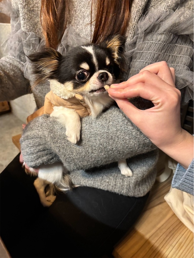 f:id:kukking10chan:20250320190145j:image