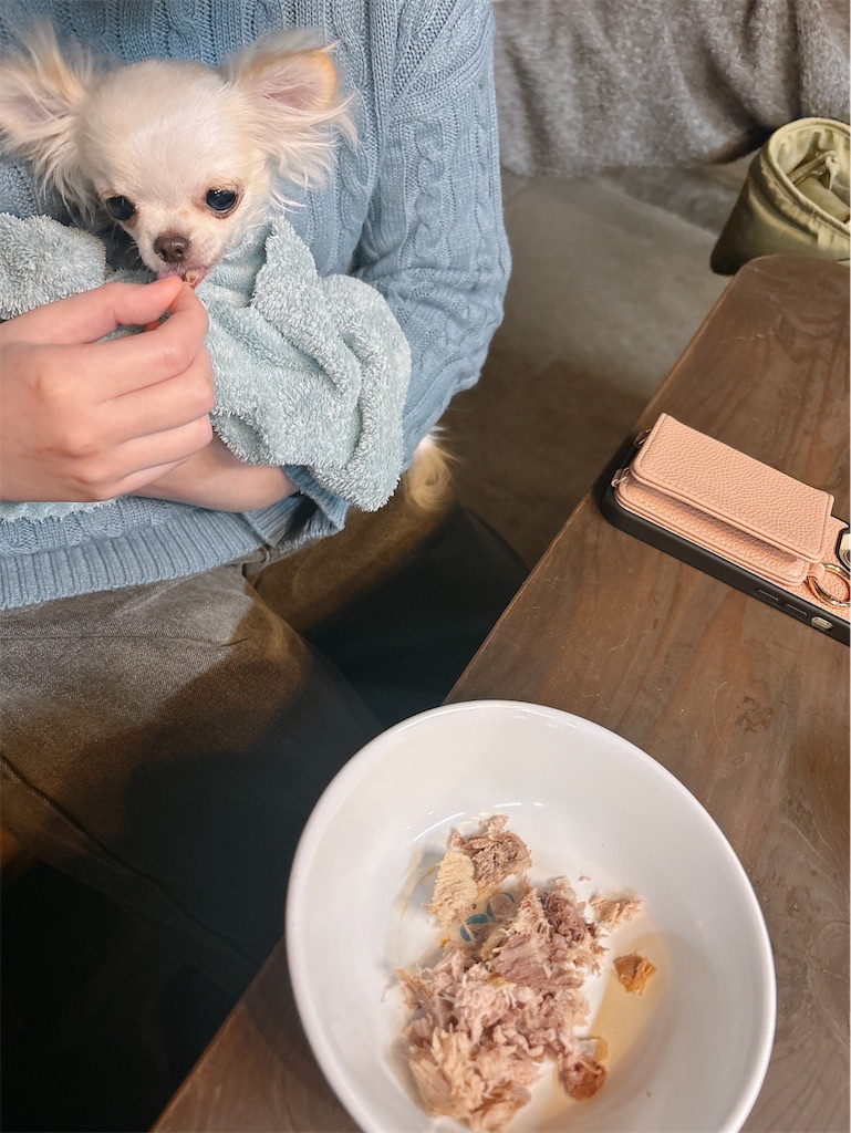 f:id:kukking10chan:20250320195400j:image