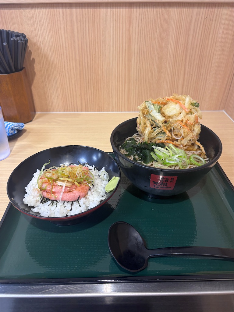 f:id:kukking10chan:20250609211719j:image
