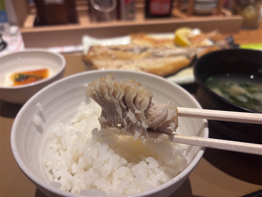 f:id:kukking10chan:20250613181626j:image