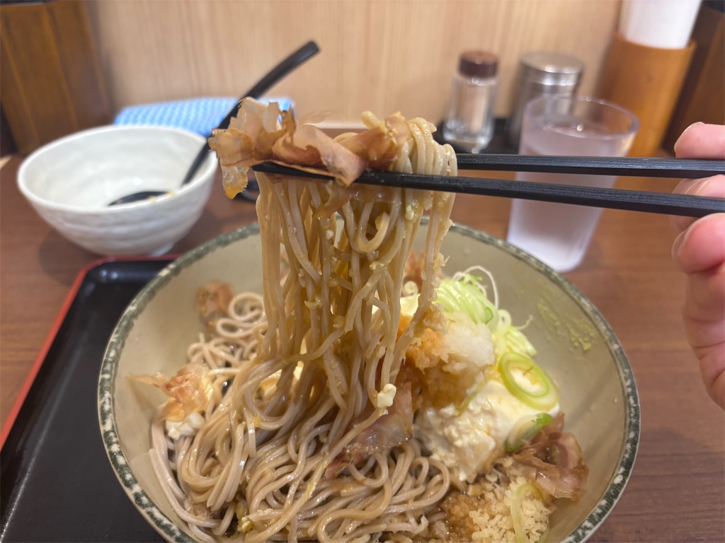 f:id:kukking10chan:20250709185721j:image