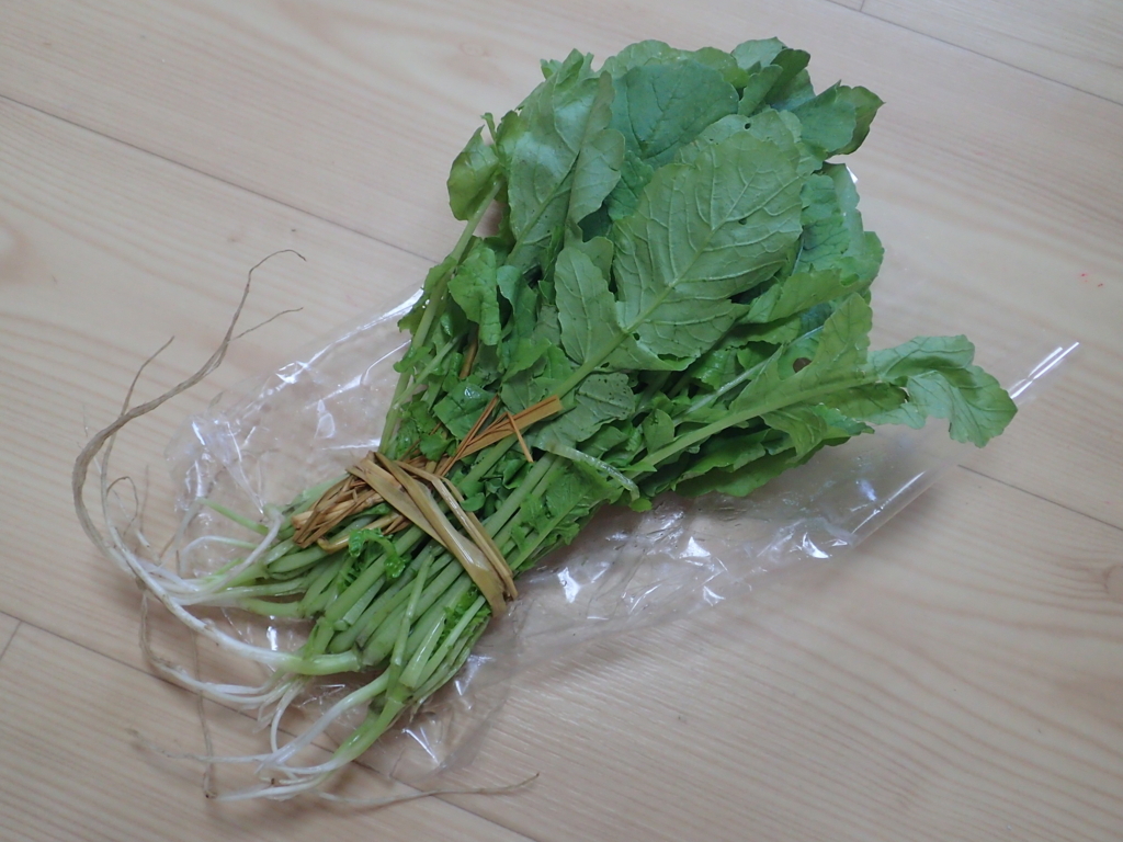 すぐき菜の間引菜です Kuksa S Diary