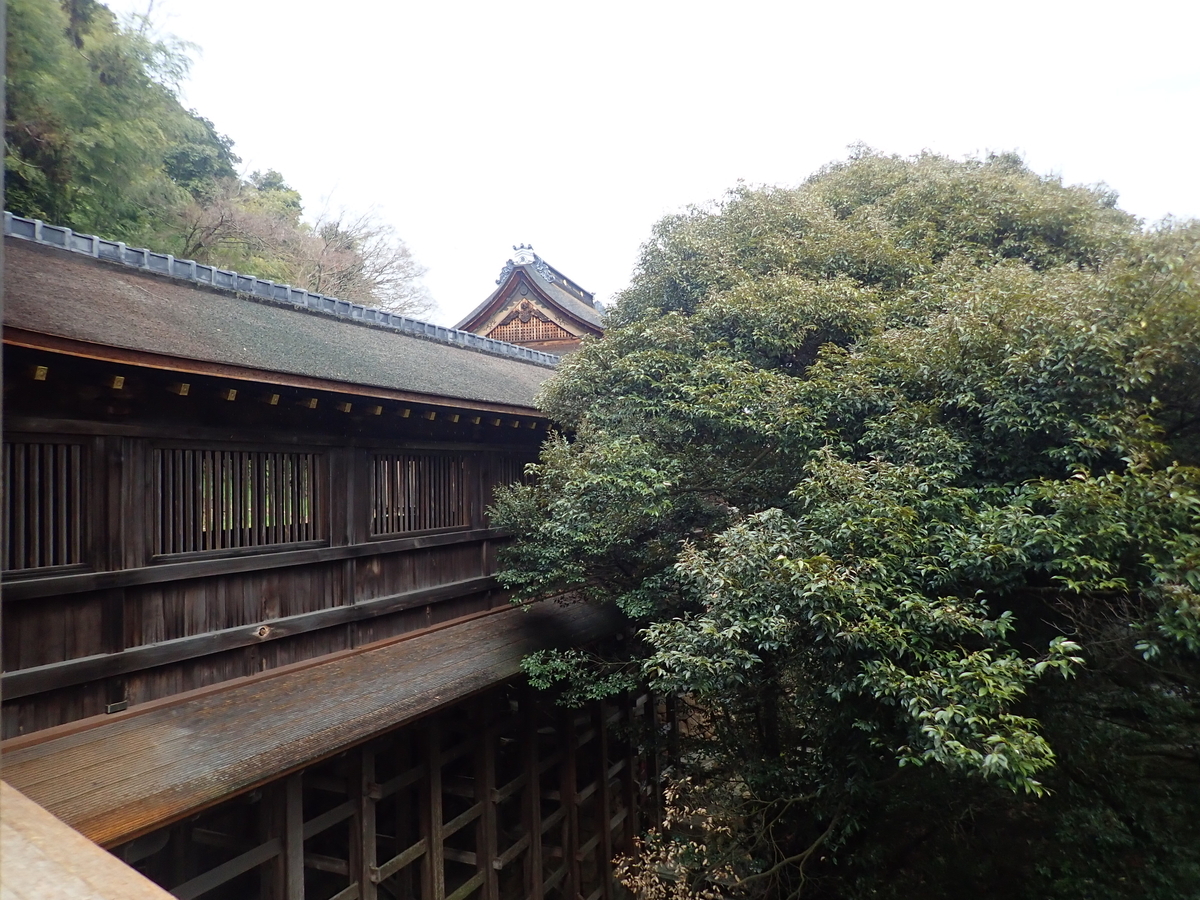 f:id:kuksa:20200323163318j:plain f:id:kuksa:20200323163318j:plain