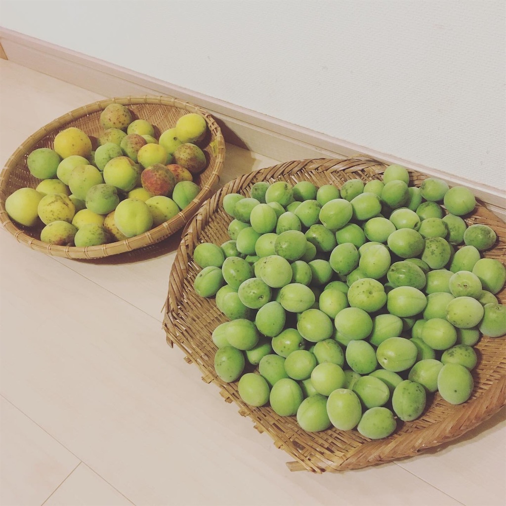 f:id:kukule16:20200704104758j:image