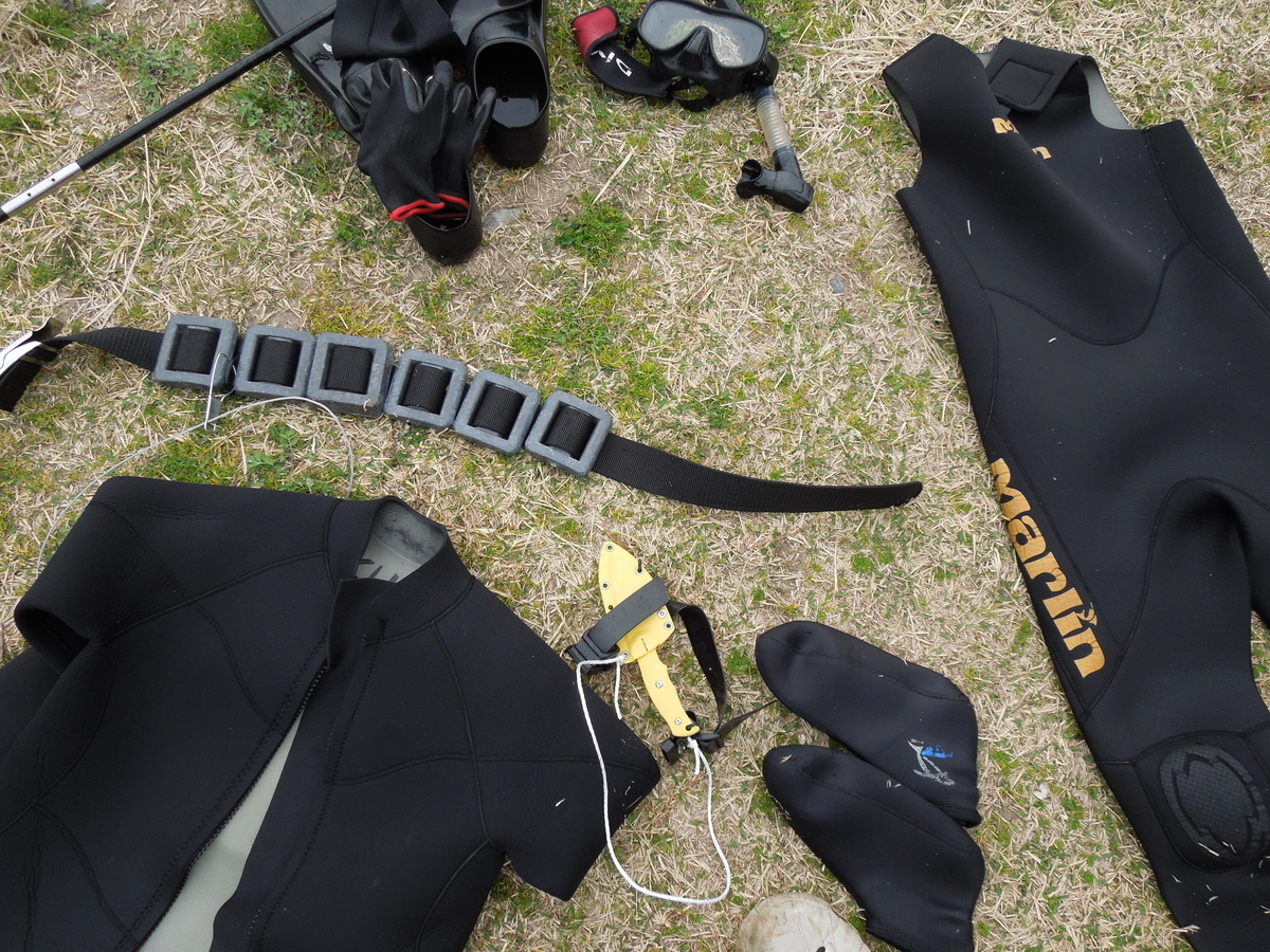 五島での魚突き Spearfishing In Goto Kukumamaブログ