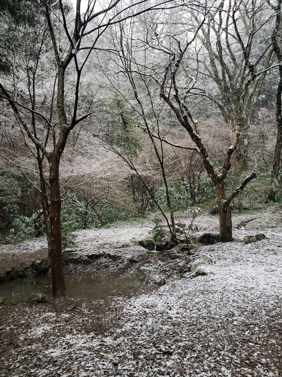 f:id:kukumama:20200316183945j:plain
