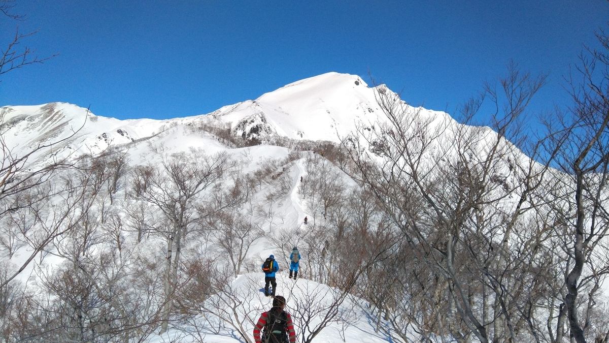 f:id:kukumama:20200319205200j:plain