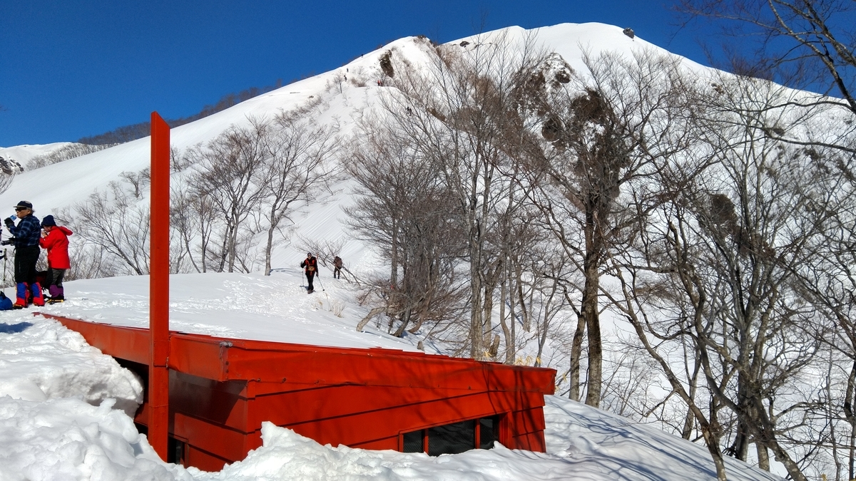 f:id:kukumama:20200319205405j:plain