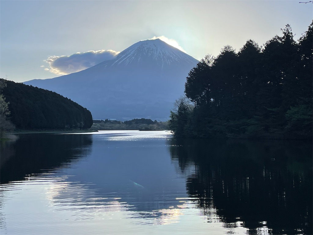 f:id:kukuri777:20230429144318j:image f:id:kukuri777:20230429144318j:image