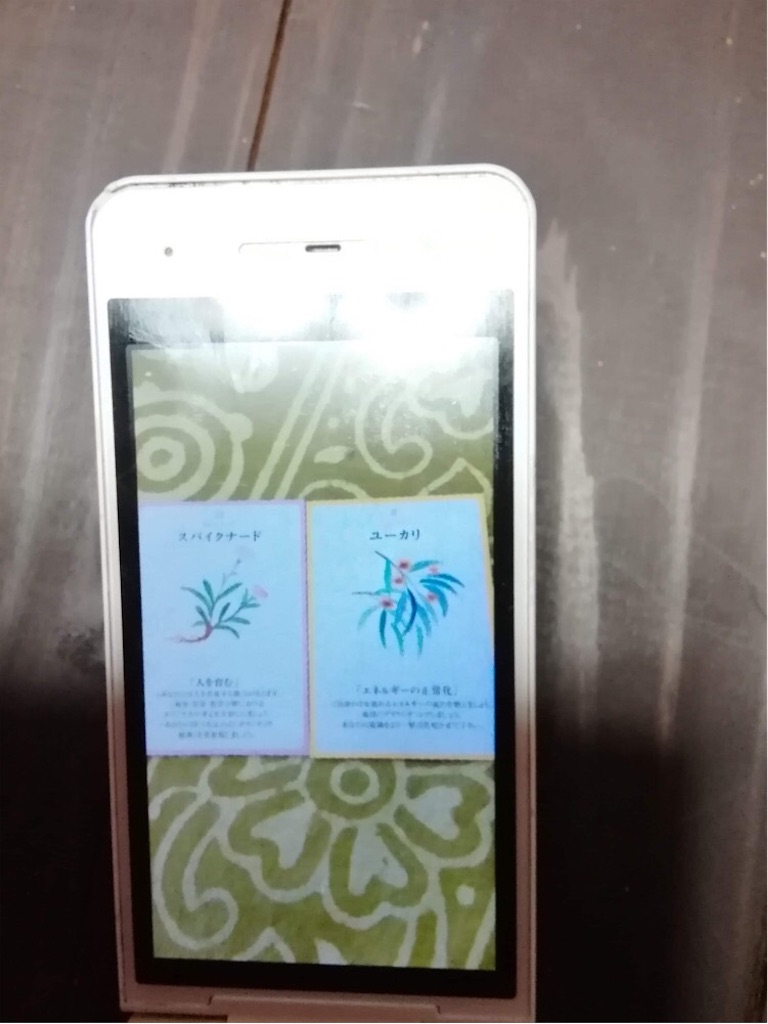 f:id:kukuru-2015:20210124181611j:image f:id:kukuru-2015:20210124181611j:image