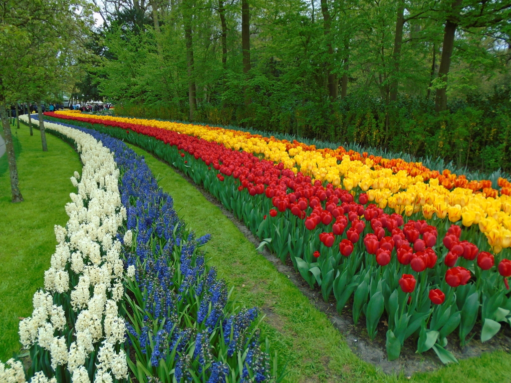 f:id:kulipa:20170515203202j:plain