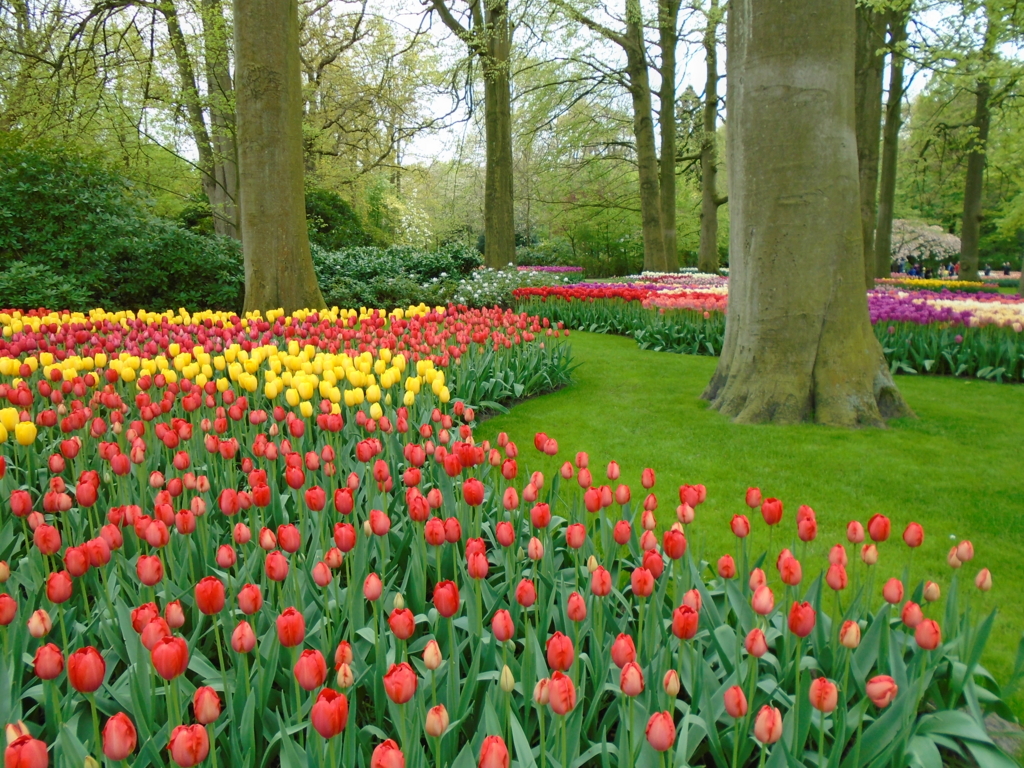 f:id:kulipa:20170520090904j:plain