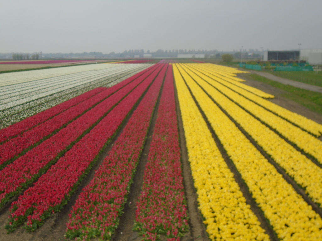 f:id:kulipa:20170520102501j:plain