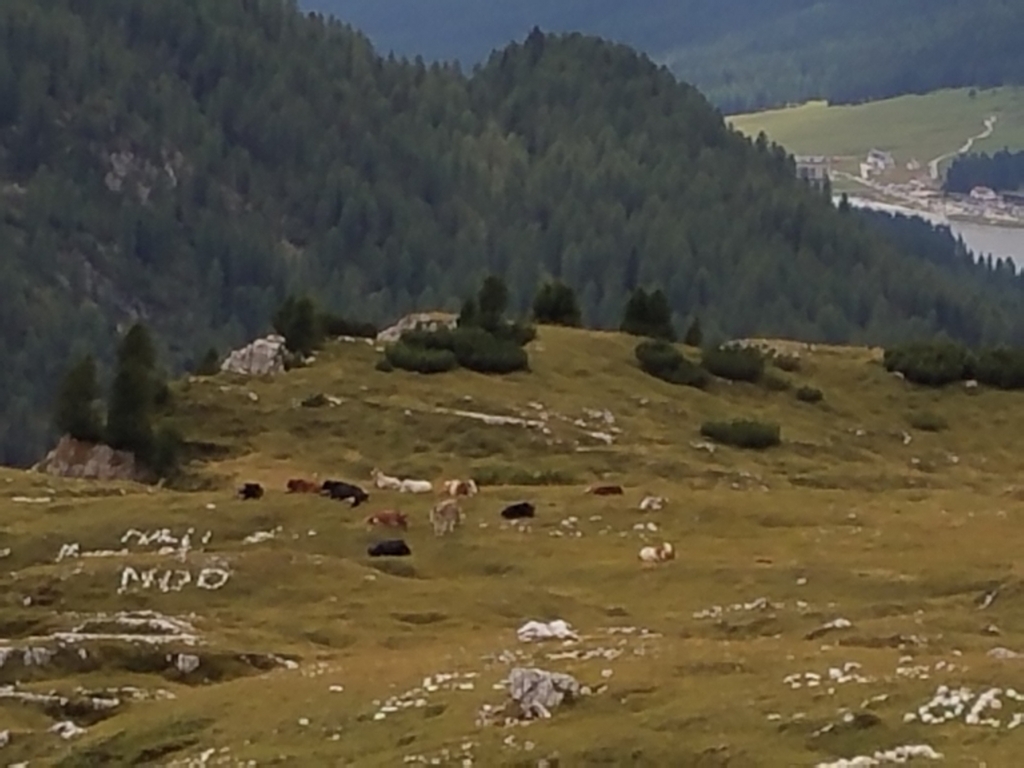 f:id:kulipa:20170910130457j:plain