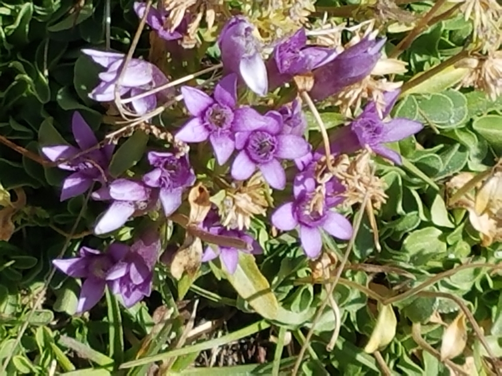 f:id:kulipa:20170910131437j:plain