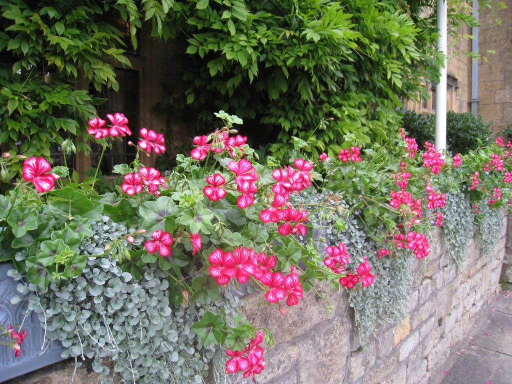 f:id:kulipa:20180628142848j:plain f:id:kulipa:20180628142848j:plain