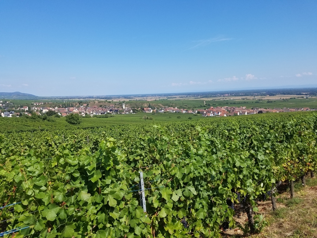 f:id:kulipa:20181102215741j:plain