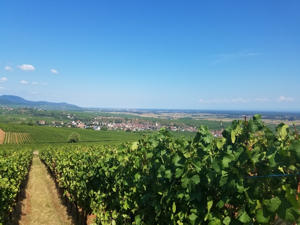 f:id:kulipa:20181102221726j:plain