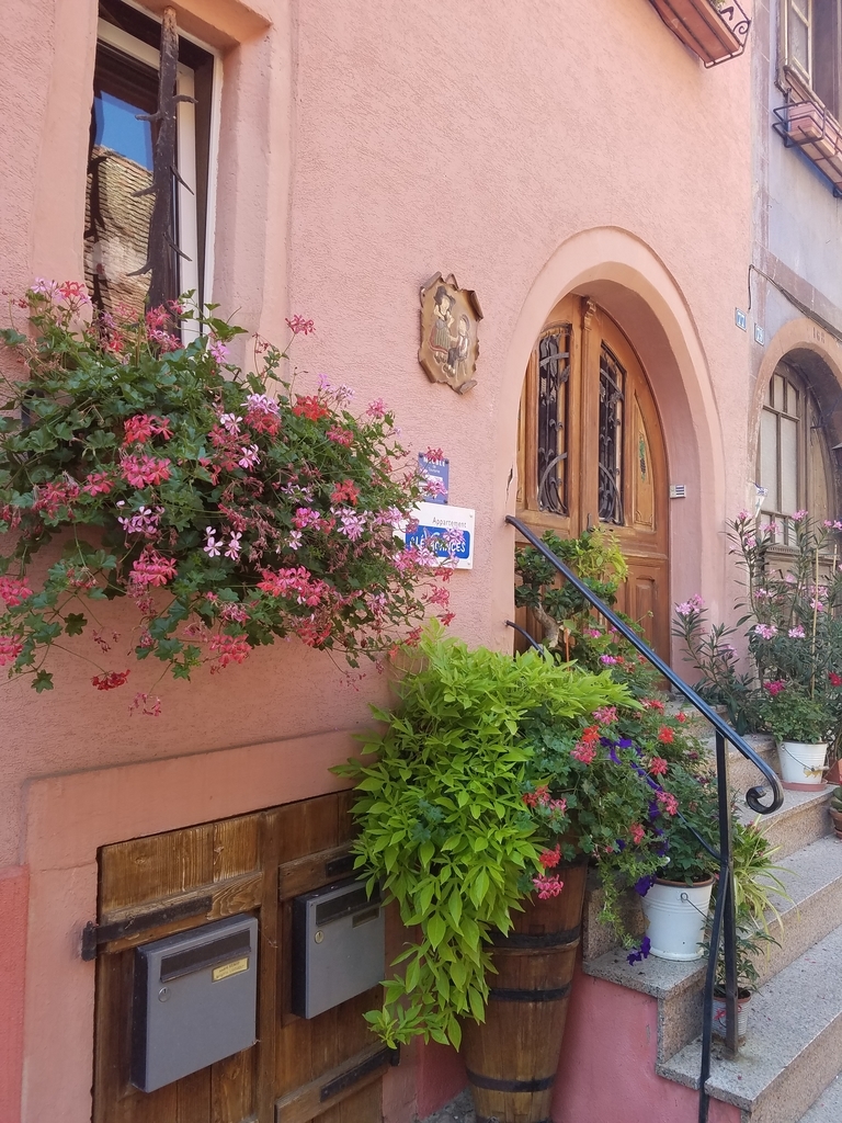 f:id:kulipa:20181103105022j:plain