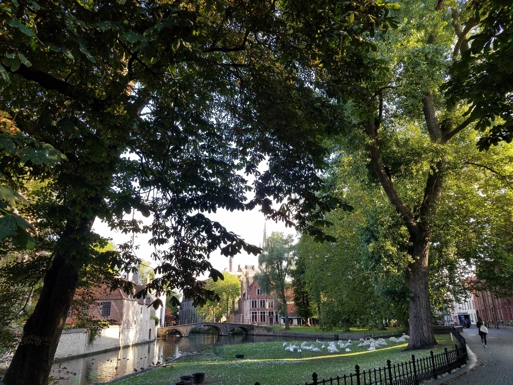 f:id:kulipa:20181111191648j:plain f:id:kulipa:20181111191648j:plain