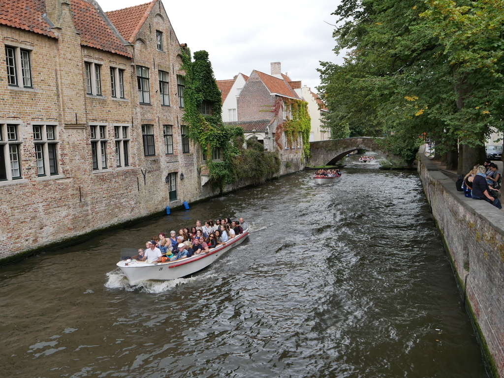 f:id:kulipa:20181111200016j:plain f:id:kulipa:20181111200016j:plain