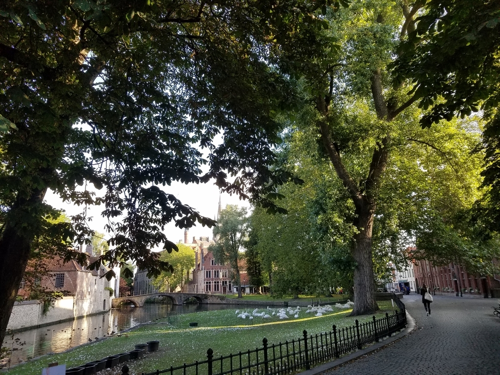 f:id:kulipa:20181111200256j:plain f:id:kulipa:20181111200256j:plain