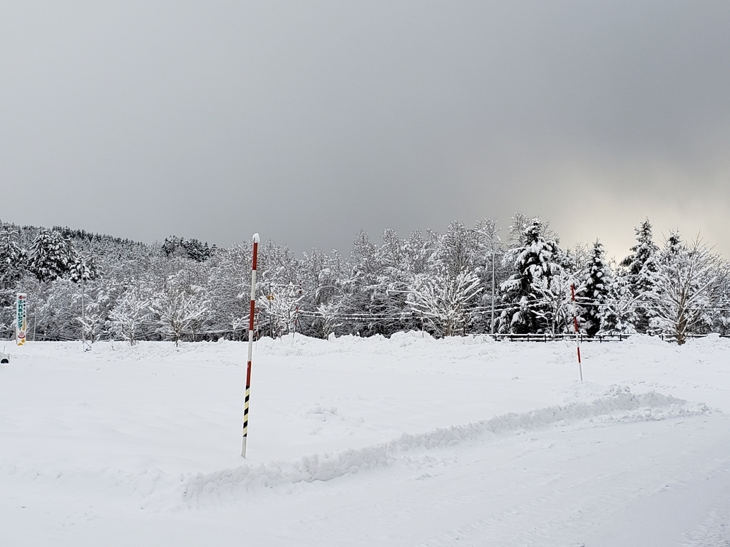 f:id:kulipa:20190104230319j:plain