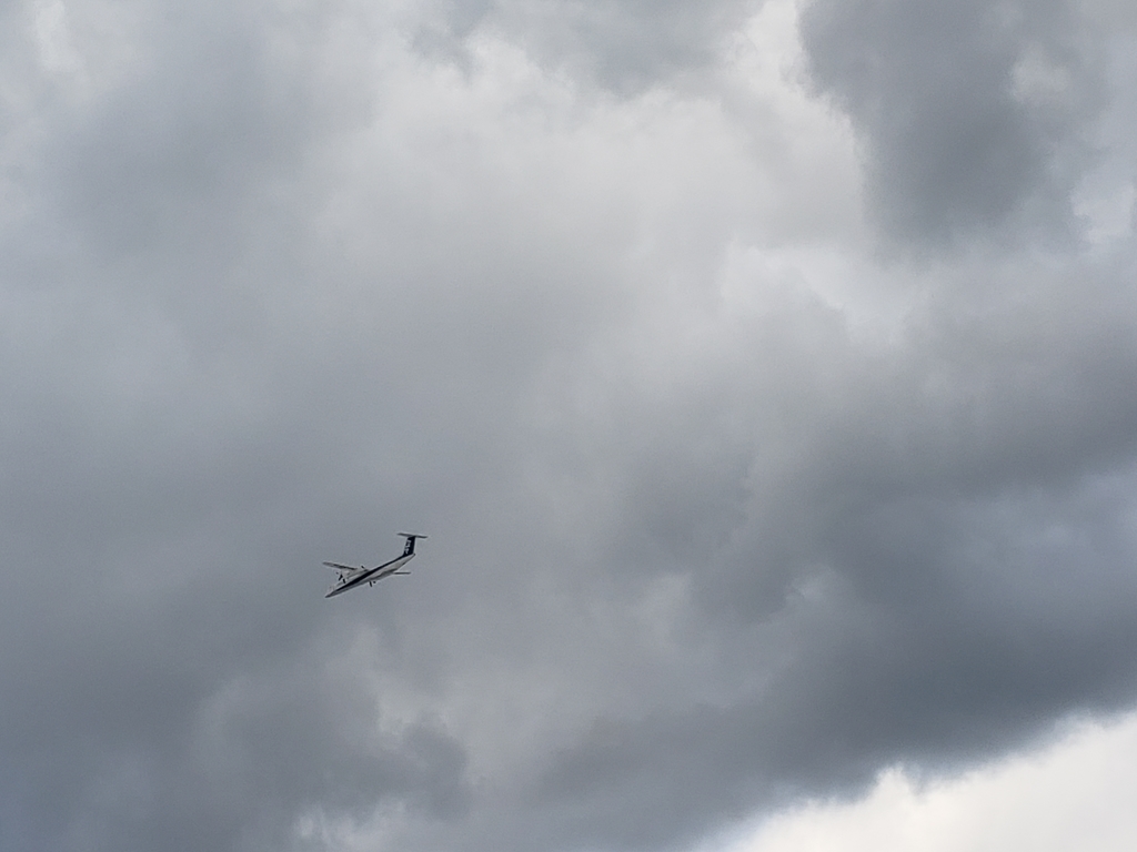 f:id:kulipa:20190104231454j:plain