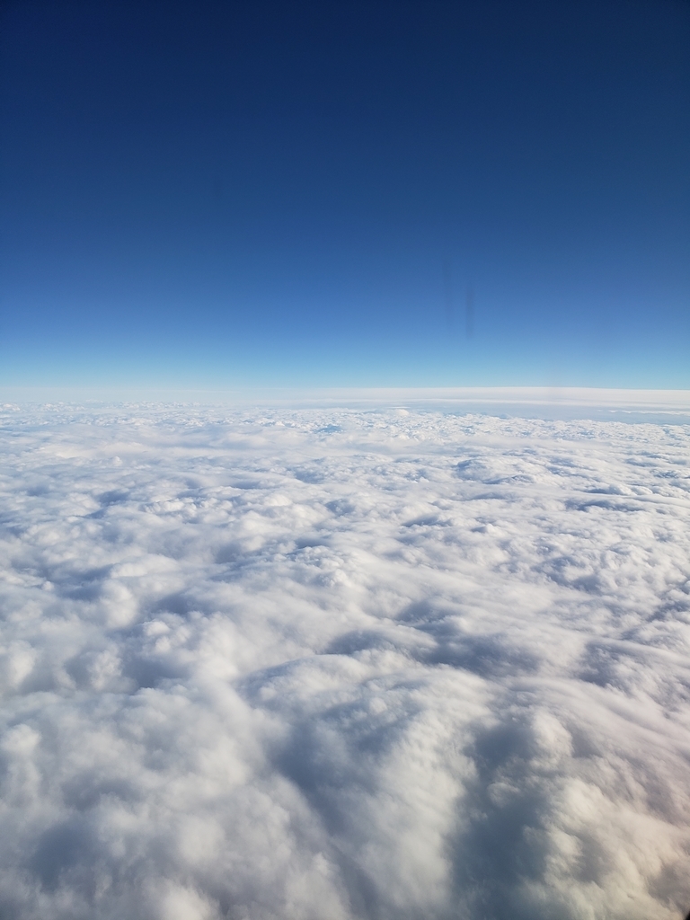 f:id:kulipa:20190104232030j:plain