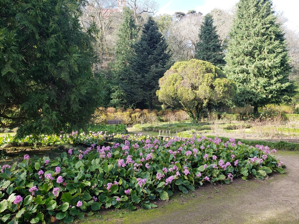 f:id:kulipa:20190115132853j:plain