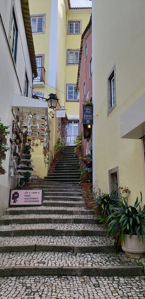 f:id:kulipa:20190115134346j:plain