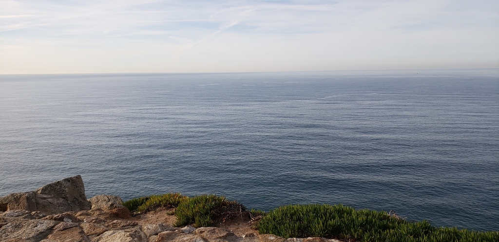 f:id:kulipa:20190115134450j:plain