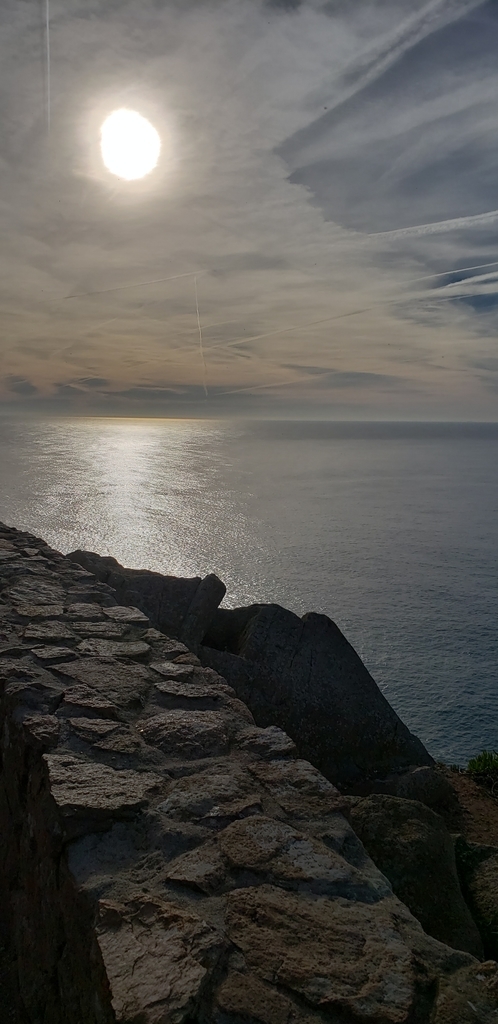 f:id:kulipa:20190115134735j:plain